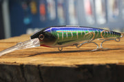 DTX Minnow Casting Lures